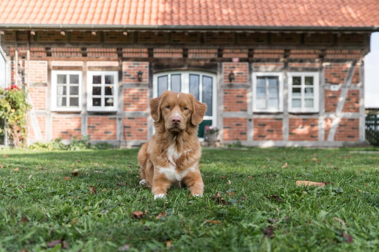 Fachwerk-Ferienhaus, Ruhe Auf Dem Land, Haustiere Willkommen, Leihfahrraeder, 24-7 Check In Kirchlinteln Εξωτερικό φωτογραφία